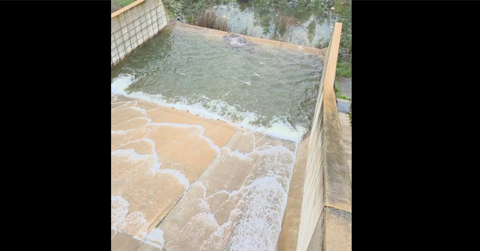 ΚΥΠΡΟΣ: Υπερχείλιση στο Φράγμα Ταμασού – Εικόνες αισιοδοξίας μετά τις βροχές-(Βίντεο)