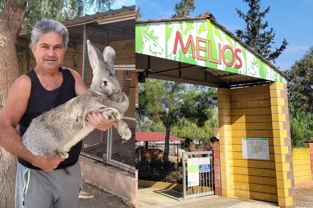 MELIOS ZOO PARK: «H φάρμα λειτουργεί κανονικά…» – Καταγγελίες για λειτουργούς, πολιτικές σκοπιμότητες και κάλεσμα σε διαμαρτυρία-(Βίντεο)