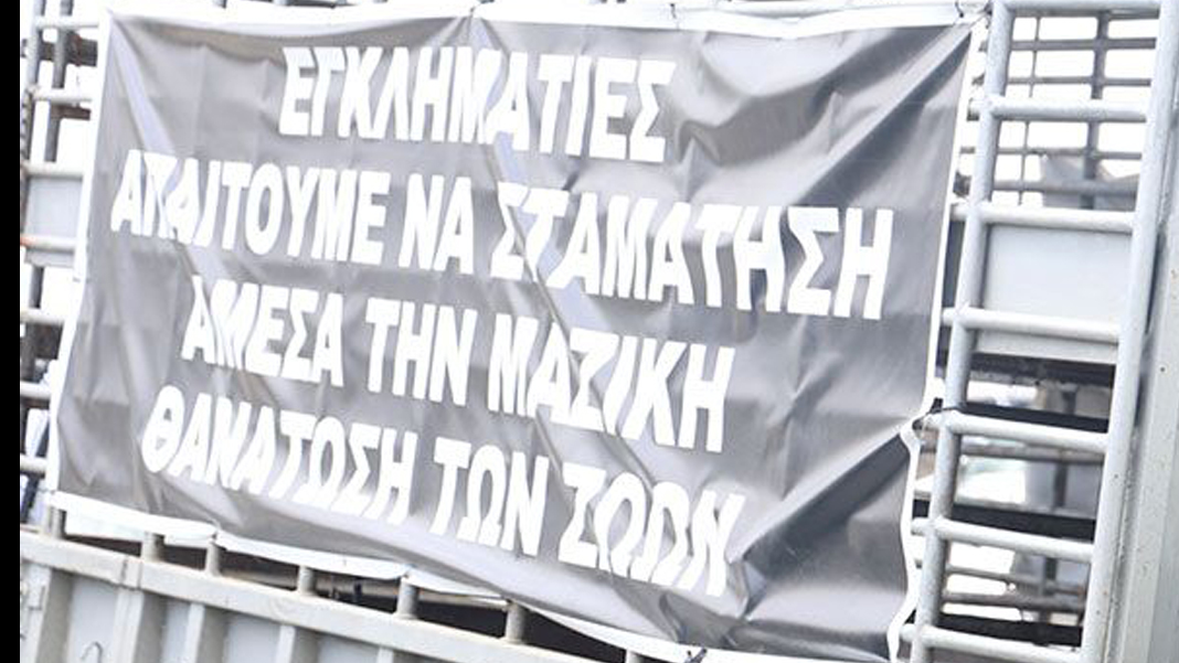 ΑΥΣΤΗΡΟ ΜΗΝΥΜΑ ΓΙΑ ΤΗ ΡΙΖΟΕΛΙΑ: Δεν θα επιτραπεί διακοπή της κυκλοφορίας από κτηνοτρόφους