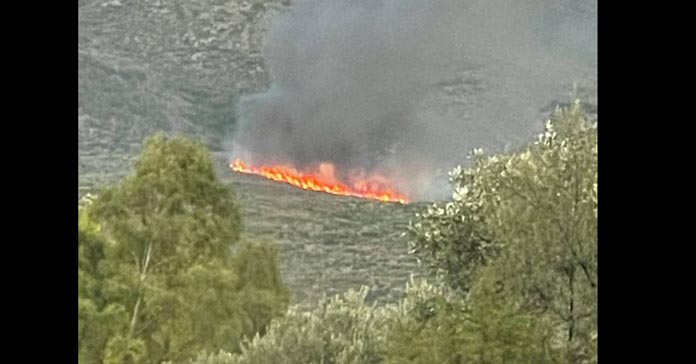ΛΕΥΚΩΣΙΑ: Πυρκαγιά σε σπαρτά στην περιοχή Εργατών – Επιχείρηση κατάσβεσης σε εξέλιξη