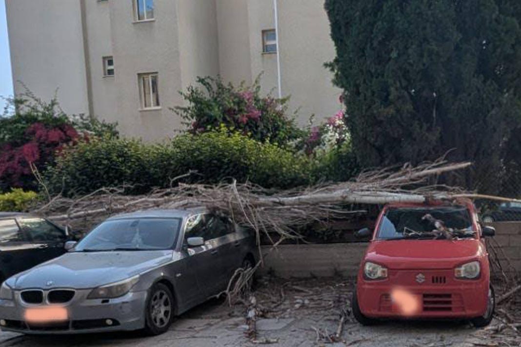 ΛΕΜΕΣΟΣ: Δέντρο έπεσε σε αυτοκίνητα λόγω ισχυρών ανέμων – Από τύχη δεν υπήρξαν τραυματισμοί