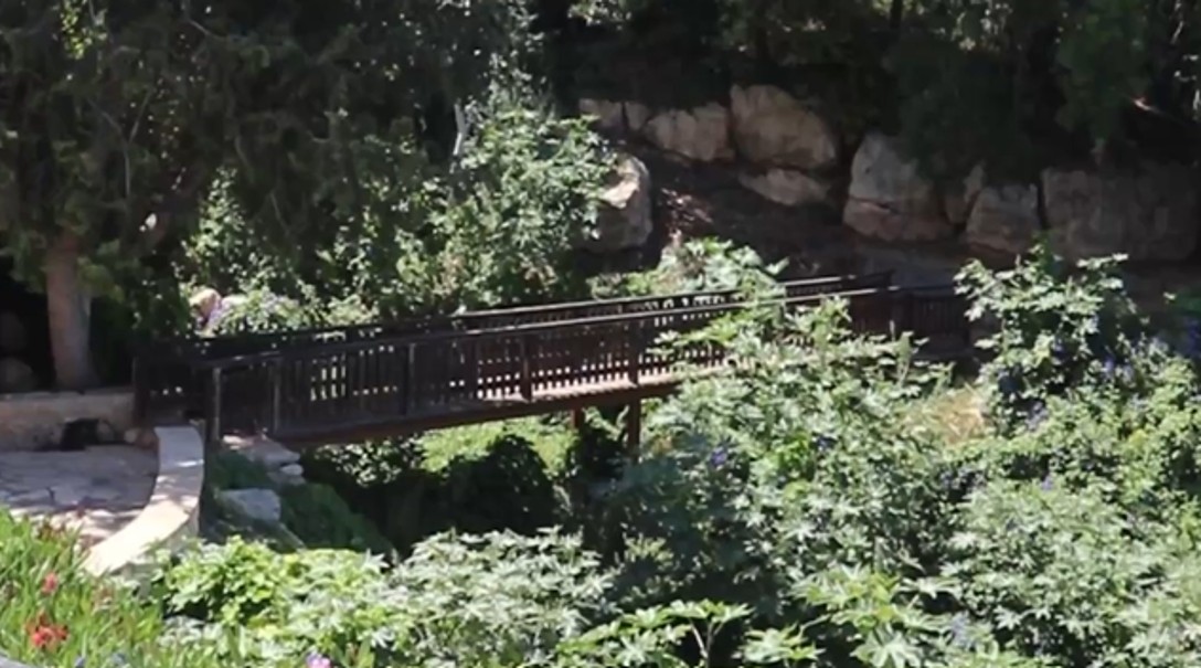 &Pi;&Alpha;&Phi;&Omicron;&Sigma;: Ά&gamma;&nu;&omega;&sigma;&tau;&omicron; &phi;&upsilon;&sigma;&iota;&kappa;ό &sigma;&eta;&mu;&epsilon;ί&omicron; &gamma;&iota;&alpha; &pi;&iota;&kappa;&nu;ί&kappa; &mu;&epsilon; &theta;έ&alpha; &sigma;&tau;&eta; &theta;ά&lambda;&alpha;&sigma;&sigma;&alpha; -(&Beta;ί&nu;&tau;&epsilon;&omicron;)