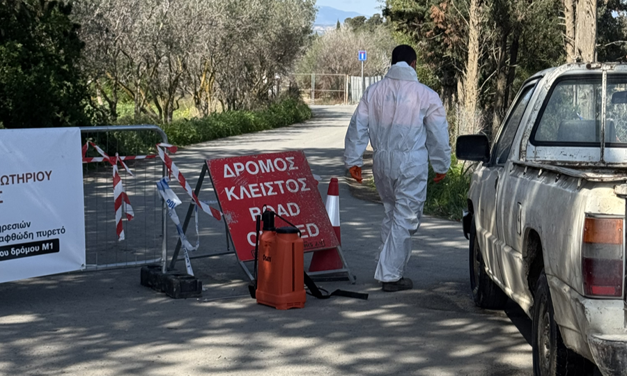 ΑΦΘΩΔΗΣ ΠΥΡΕΤΟΣ: Στην αστυνομία έξι σοβαρές υποθέσεις πιθανών παράνομων μετακινήσεων ζώων
