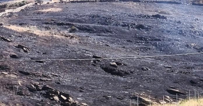 ΣΥΡΟΣ: Στάχτη και αυταπάρνηση στην Άμπελα μετά τη μεγάλη πυρκαγιά-Πώς σώθηκε ηλικιωμένη