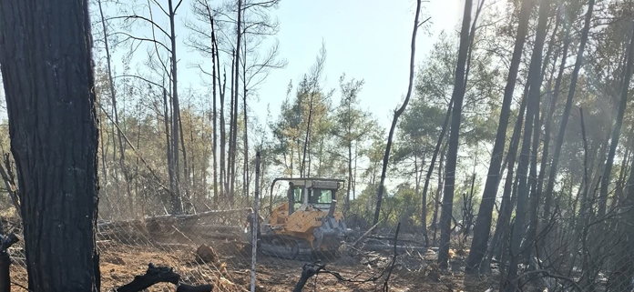 ΠΥΡΓΑ: Σώθηκαν κατοικίες από τη μεγάλη φωτιά – Χωρίς τραυματίες, στάχτη έγιναν πεύκα και αιωνόβιες ελιές