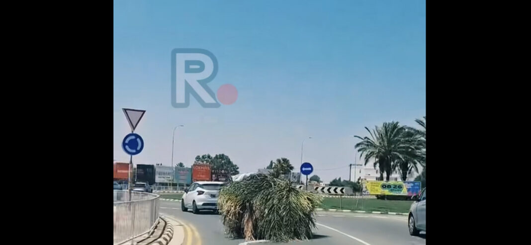 ΠΑΡΑΛΙΜΝΙ: Ημιφορτηγό κινείται στον κυκλικό κόμβο σχεδόν αόρατο – Κίνδυνος για την οδική ασφάλεια-(Βίντεο)
