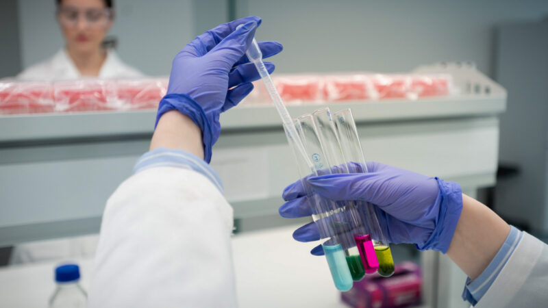Το αγγλόφωνο πρόγραμμα MPharm του Πανεπιστημίου Λευκωσίας υποδέχεται φοιτητές για το νέο ακαδημαϊκό έτος 2026-2027