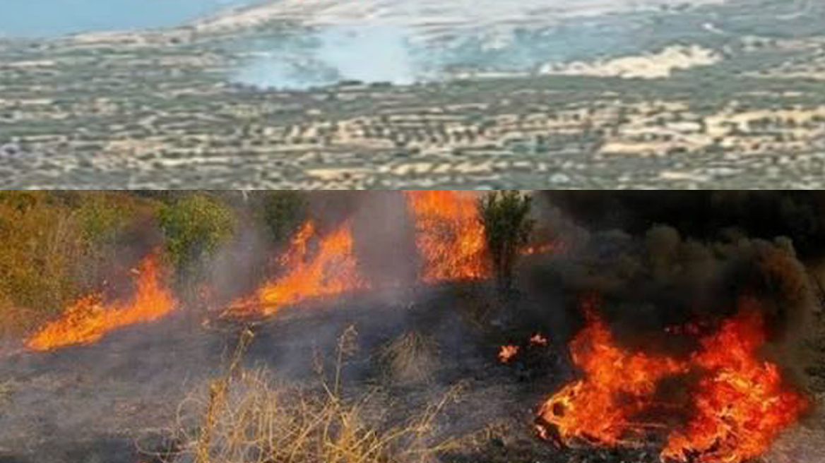 ΛΙΜΝΑΤΗΣ: Μακριά από οικίες η φωτιά – Τέθηκε υπό έλεγχο το πύρινο μέτωπο