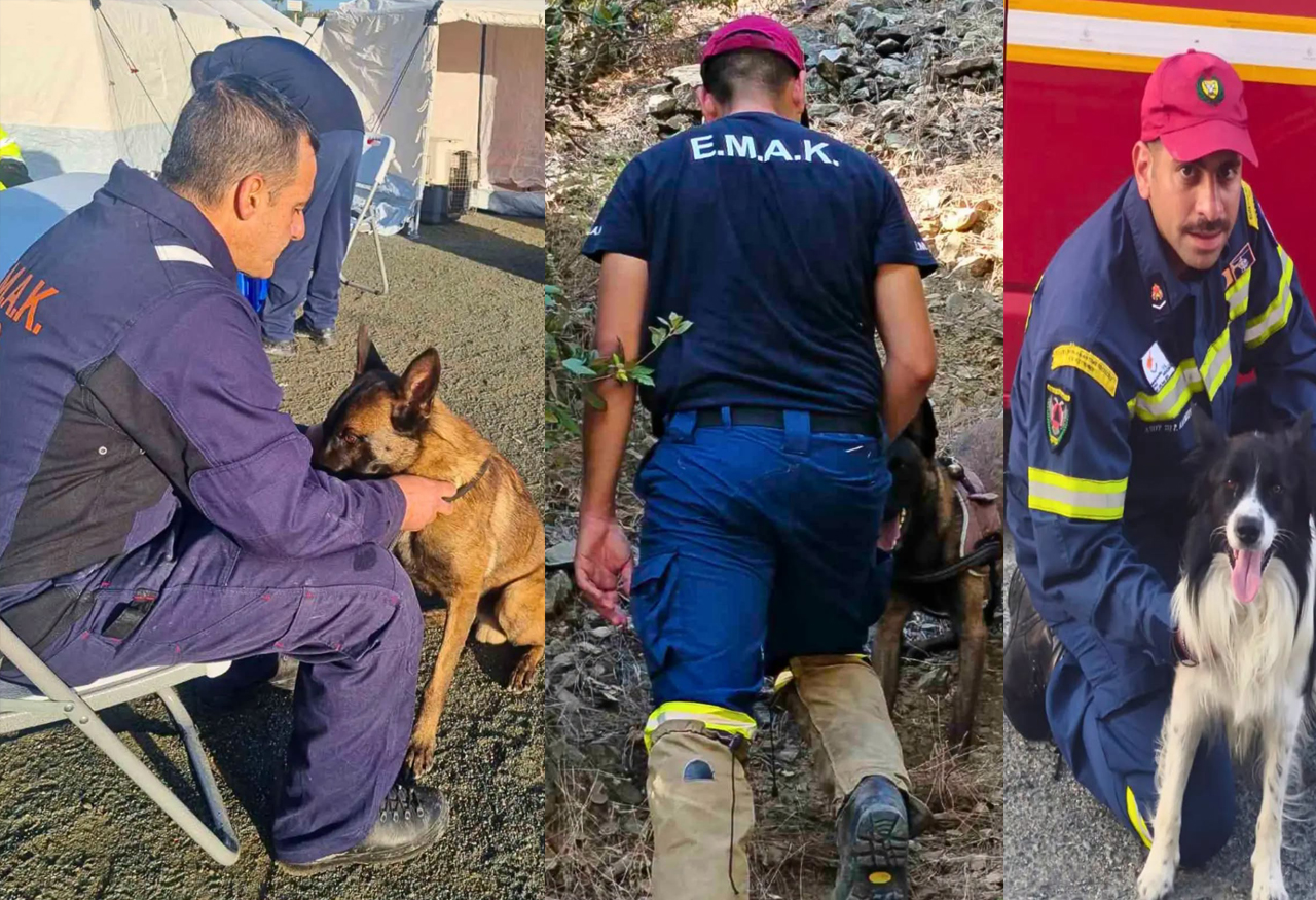 &Eta;&Mu;&Epsilon;&Rho;&Alpha; &Tau;&Omicron;&Upsilon; &Sigma;&Kappa;&Upsilon;&Lambda;&Omicron;&Upsilon;: &Omicron;&iota; &tau;&epsilon;&tau;&rho;ά&pi;&omicron;&delta;&omicron;&iota; &laquo;&pi;&upsilon;&rho;&omicron;&sigma;&beta;έ&sigma;&tau;&epsilon;&sigmaf;&raquo; &tau;&eta;&sigmaf; &Kappa;9 &pi;&omicron;&upsilon; &mu;&pi;&alpha;ί&nu;&omicron;&upsilon;&nu; &sigma;&tau;&eta; &laquo;&mu;ά&chi;&eta;&raquo; &gamma;&iota;&alpha; &nu;&alpha; &sigma;ώ&sigma;&omicron;&upsilon;&nu; &zeta;&omega;έ&sigmaf;