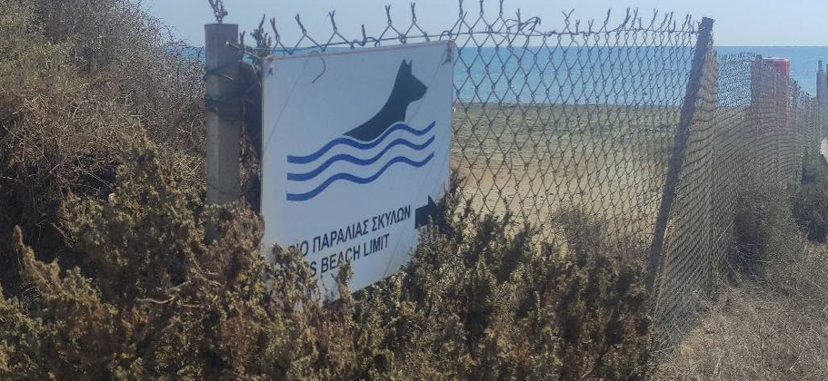 ΛΑΡΝΑΚΑ: Παράπονα για την πρόσβαση στην παραλία σκύλων – Πολίτες ζητούν λύσεις για ηλικιωμένους και άτομα με αναπηρία-(Φώτο)