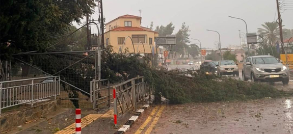&Kappa;&Alpha;&Kappa;&Omicron;&Kappa;&Alpha;&Iota;&Rho;&Iota;&Alpha;: &Mu;&epsilon;&tau;ά &tau;&iota;&sigmaf; &beta;&rho;&omicron;&chi;έ&sigmaf;, &tau;&alpha; &pi;&epsilon;&sigma;&mu;έ&nu;&alpha; &delta;έ&nu;&tau;&rho;&alpha; &kappa;&alpha;&iota; &tau;&iota;&sigmaf; &kappa;&alpha;&tau;&alpha;&sigma;&tau;&rho;&omicron;&phi;έ&sigmaf; ή&rho;&theta;&epsilon; &kappa;&alpha;&iota; &tau;&omicron; &pi;&epsilon;&rho;&iota;&beta;ό&eta;&tau;&omicron; CY-ALERT